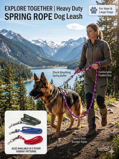 Heavy Duty Dog Leash with Shock Absorbing Spring | 360° Tangle-Free Metal Hook | Strong Nylon Training Leash for Large Dogs | 1.5 Meter